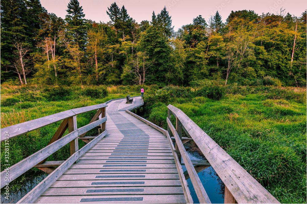 AdobeStock 312813703 Preview